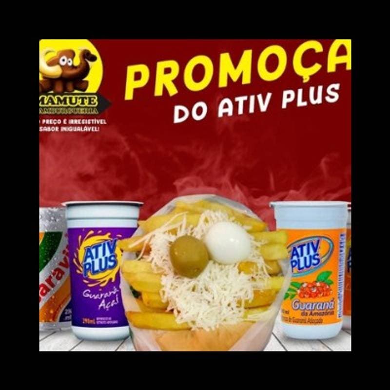 PROMOÇÃO DO LANCHE+BATATA FRITA +ATIV PLUS