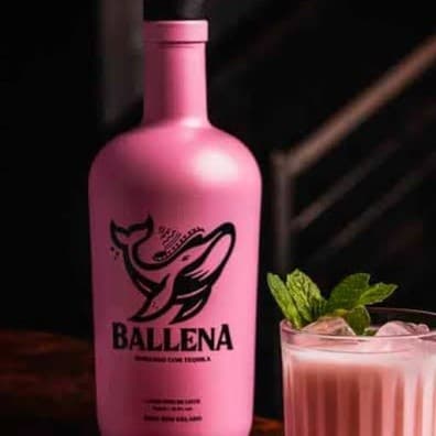 Garrafa de Balena Licor