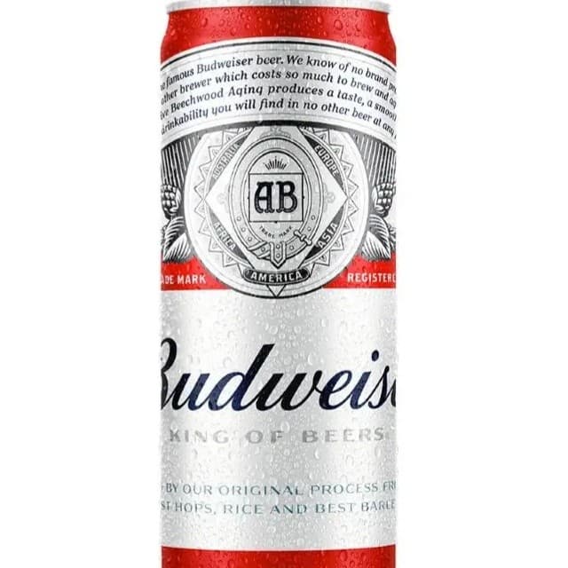 Cerveja Budweiser 330ml