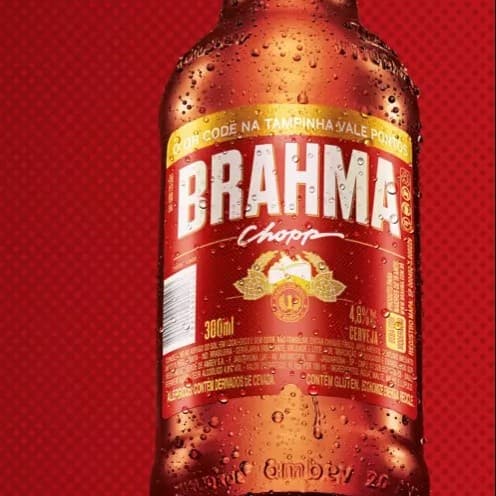 Litrinho Brahma